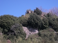 Monte Fontane